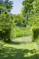 Ornamental wrought iron gates set in a hornbeam - Carpinus betulus - hedge at the end of a wide mown grass path leading to an orchard with rough grass in a country garden. June