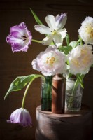 Mix of fringed tulips in small vases on display. Sunbeam shining on the bouquet of flowers. Locally grown.