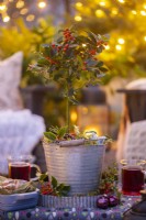 Small Holly planted in a metal bucket on a small table with drinks and food