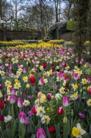 Massed planting of bulbs in spring at Keukenhof Gardens, The Netherlands