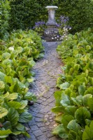 Sundial with stone paved and wiggly 'snake' path, Bergenia either side of the narrow path