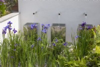 Three chrome water spouts cascading into metal containers, bordered by purple iris and ferns in the 'Sociability' garden at BBC Gardener's World Live 2015, June