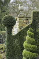 Clipped evergreens at York Gate Garden in February
