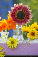 Flower display of nasturtium and sunflowers in glass vases.