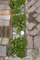 Low level green foliage planting with Sagina sabulata and Hedera helix between driveway for car made with reclaimed tiles, bricks and stones. Designer: Nicola Haines, Citroen Power of One at Bord Bia Bloom Dublin 2023
