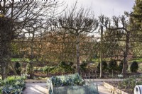 Formal vegetable garden framed by espaliered fruit trees at Ivy Croft in January