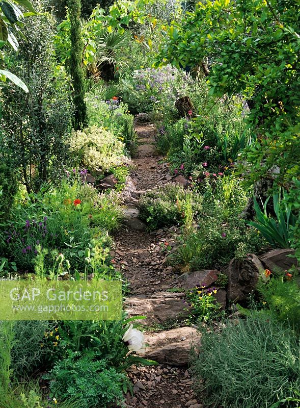 Path of loose chippings and stone boulders in semi wild garden