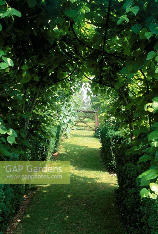 View through pergola in Alan Titchmarsh's garden in Hampshire