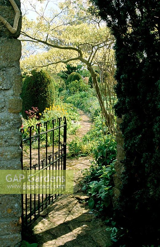 Arch with metal work gate opening into garden at East Lambrook Manor in Somerset