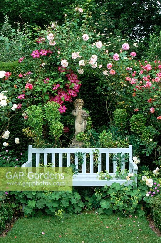 Bench under Rosa 'New Dawn', 'Aloha' and Clematis 'Ville de Lyon' at Frith Lodge in Sussex
