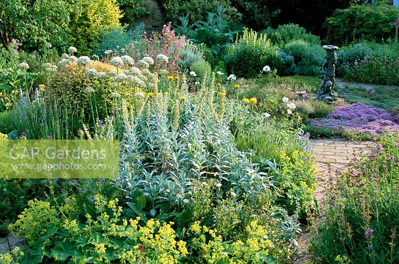 Herb garden with Artemisia at garden in Sussex
