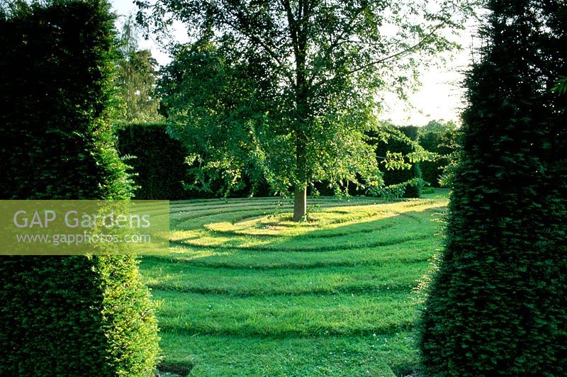 Turf maze with tree in center surrounded by circular hedge at The Dower House in Shropshire