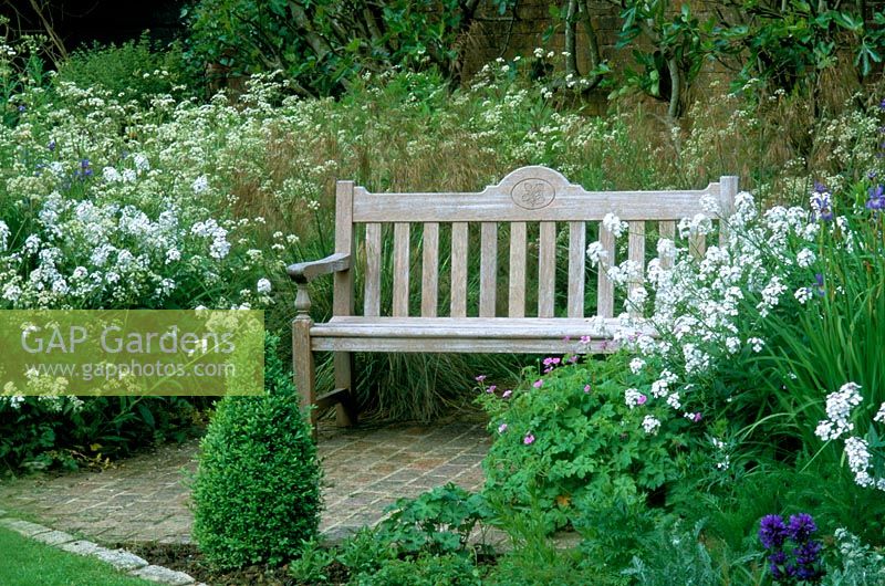 Wooden bench with Hesperis and Stipa gantea at Frith Hill in Sussex