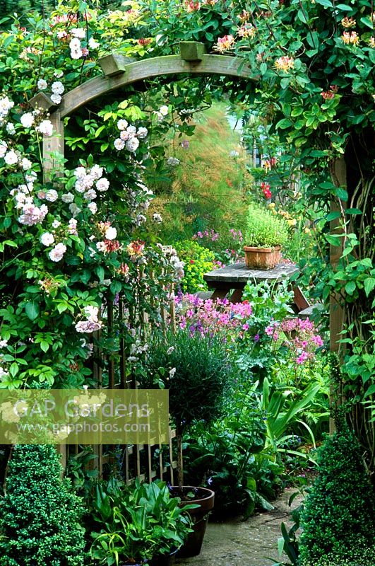 Cottage garden arched gateway and view to mixed planting in garden
