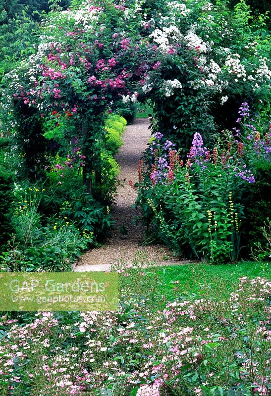 Arch with climbing roses and gravel path at Mannington Hall Rose garden in Norfolk