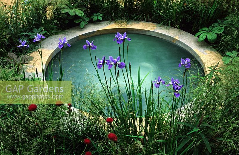 Gazing pool with Iris sibirica and Deschampsia at Chelsea FS