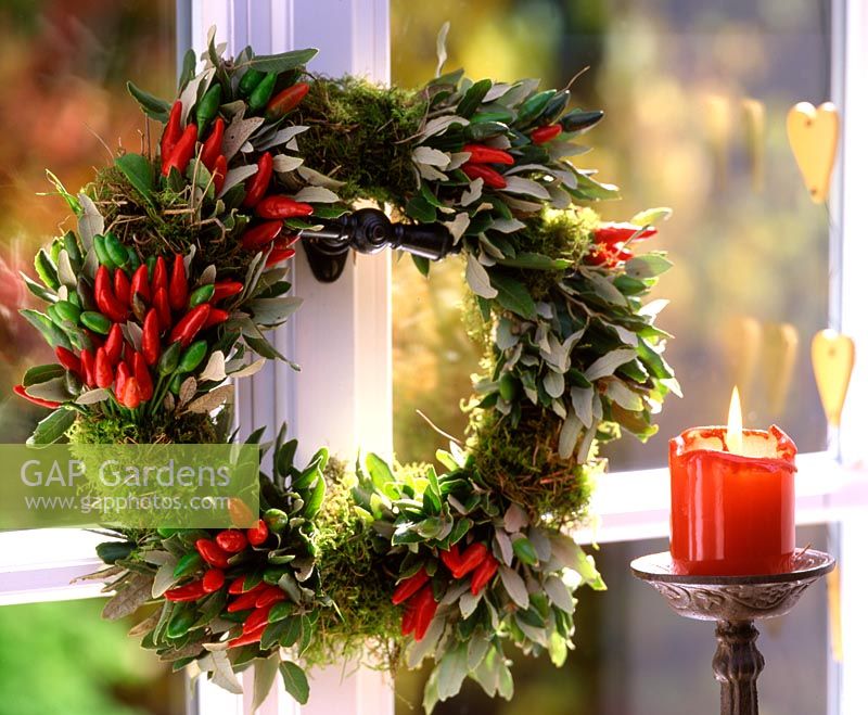 Wreath made with moss, bunches of capsicum and Quercus ilex - Holm oak leaves