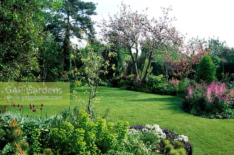 Spring garden with central lawn and surrounding mixed borders