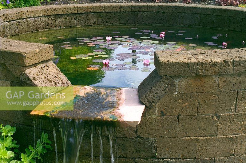 Small circular waterlily pond which helps filter water for natural simming pool at Little Bredy in Dorset
