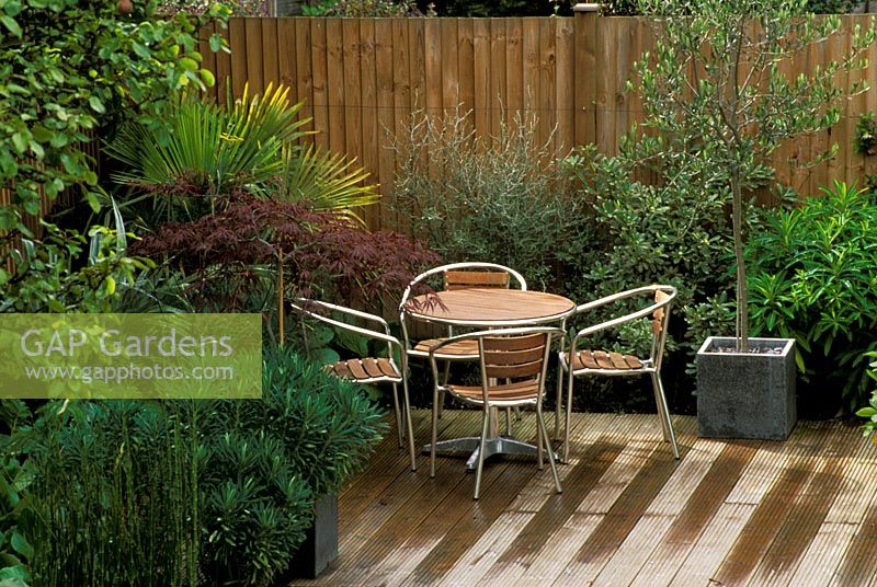 Modern furniture on decking with tropical planting and containers in Streatham, London