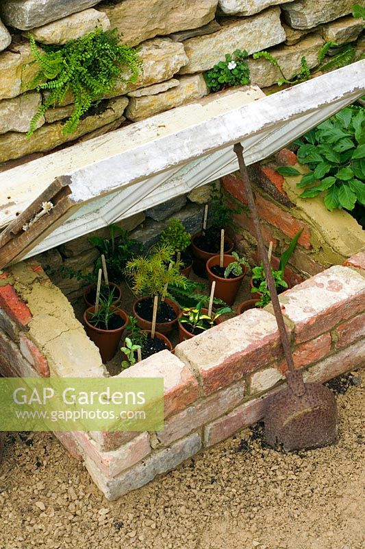 Small coldframe for new or tender plants at 'The Old Police House' Hampton Court FS 2005