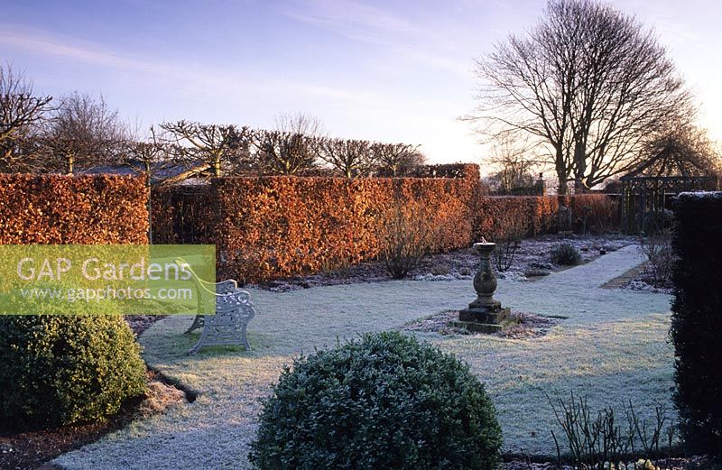 Formal garden with sundial and Beech hedges in winter with frost at Wollerton Old Hall
