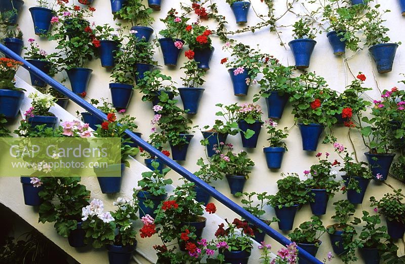 Courtyard garden with painted wallmounted containers in Cordoba Spain