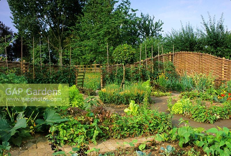 Vegetable garden with willow fencing at Pannells Ash Farm in Essex