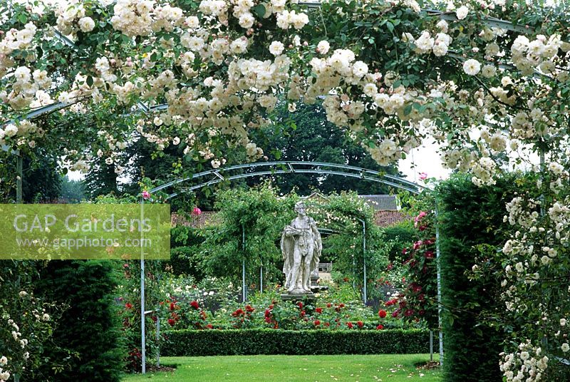 Arches with Rosa 'Adelaide 'D'orleans' and view to statue at Houghton Hall