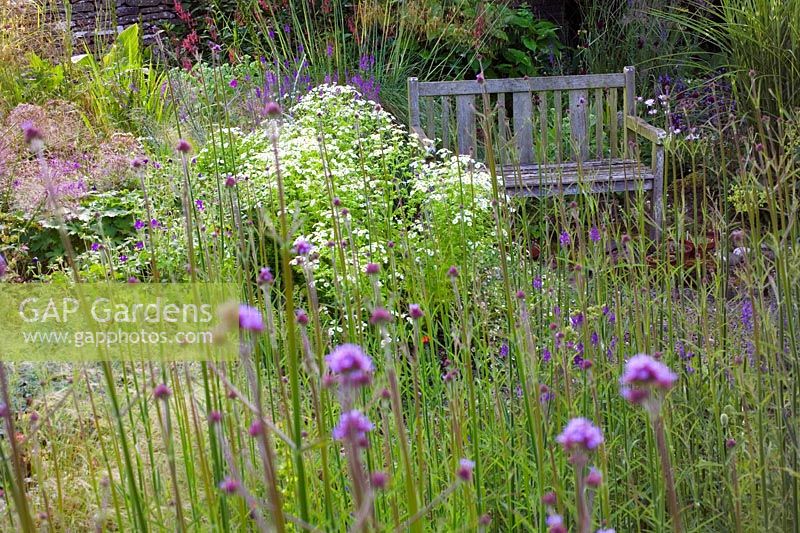 Wooden bench amongst informal drifts of summer flowers at Lower House in Powys Wales