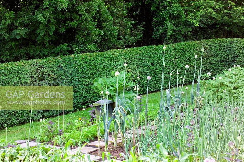 Vegetable garden at Lower House in Powys Wales