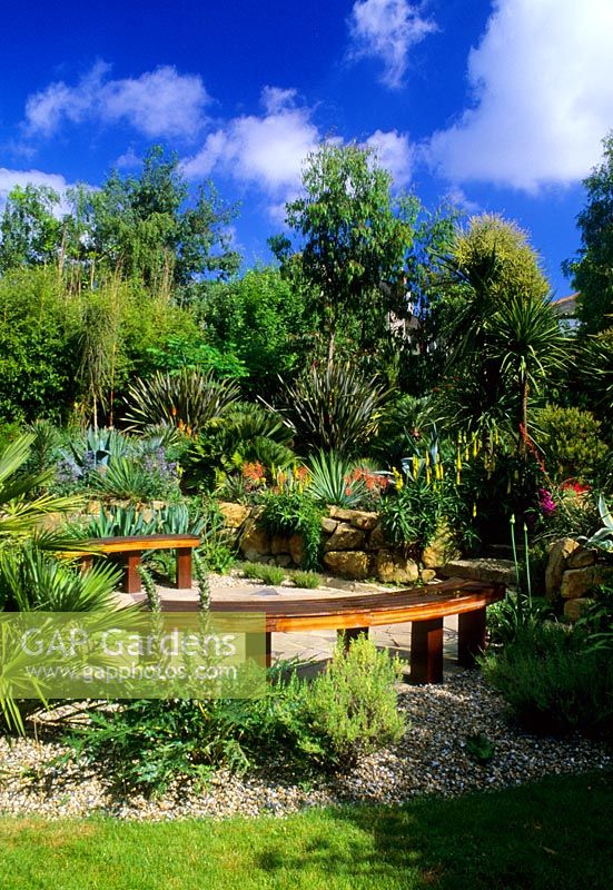 Tropical urban garden with circular paving and curved benches