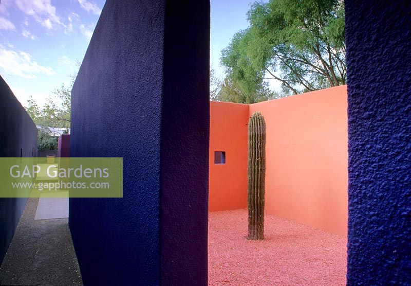 Garden of painted rooms in El Paso USA 