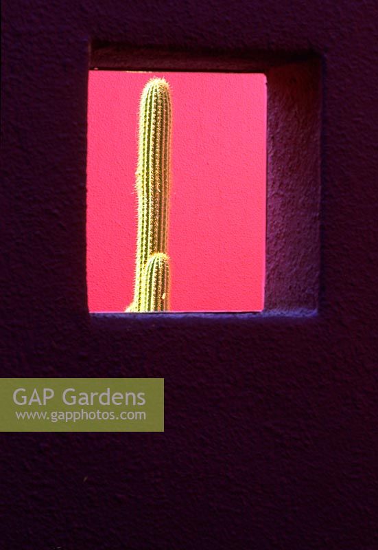 Painted walls with square hole, view to Cactus, Garden of painted rooms in El Paso USA 