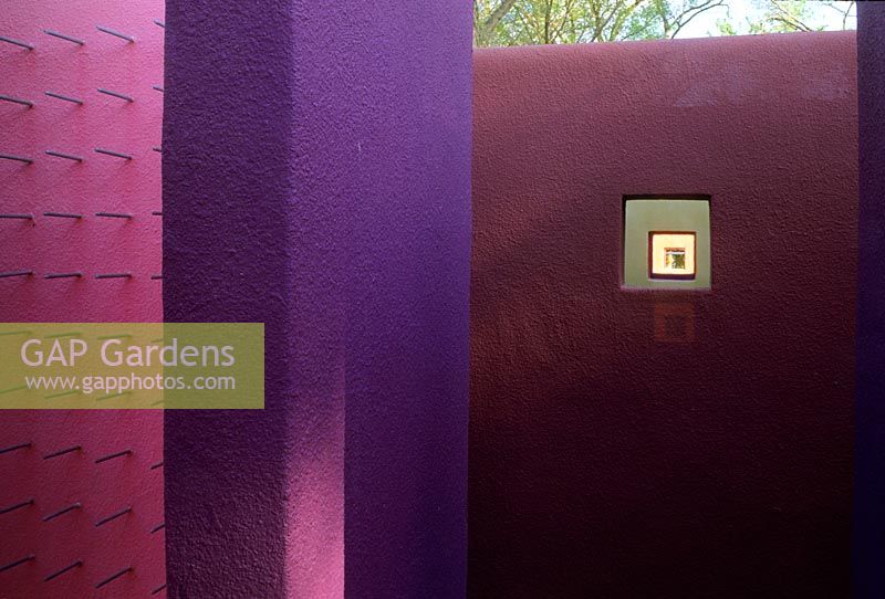 Garden of painted rooms, minimalist contemporary garden in El Paso USA