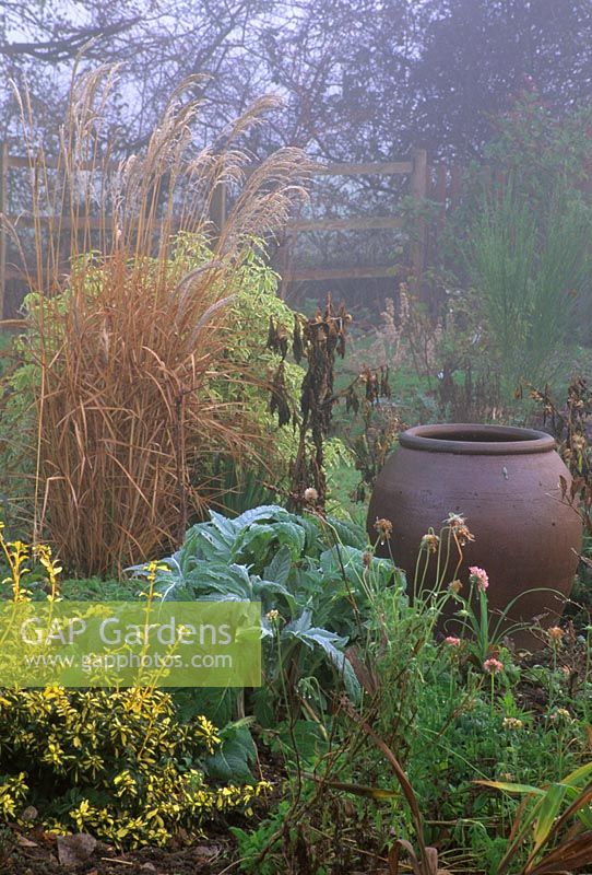 Winter border with urn at Pannells Ash Farm in Essex