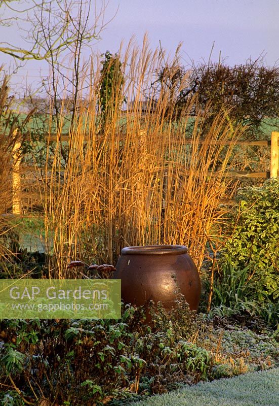 Winter border with urn at Pannells Ash Farm in Essex