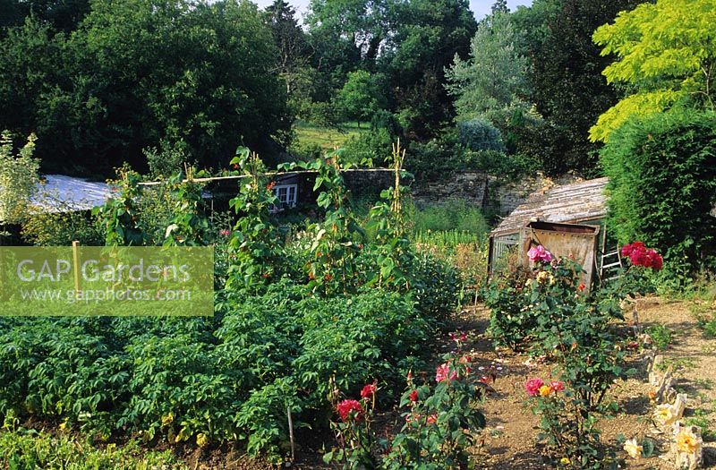 Allotment garden in Broad Camden in Gloucestershire