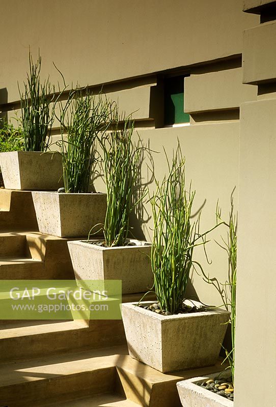 Steps with containers in modern garden, The Sanctuary in Phoenix, Arizona, USA