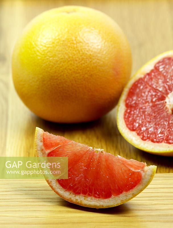 Citrus paradisi - Grapefruit