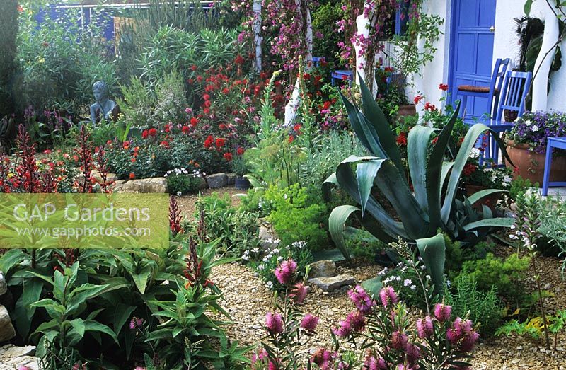 Dry gravel garden with Agave cactus, Bouganvillea and Salvia