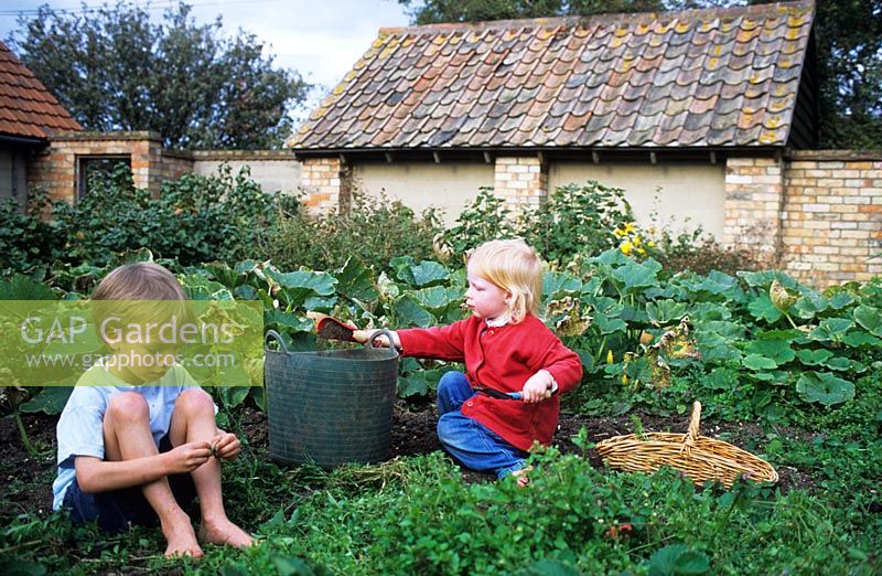 Children weeding vegetable garden at Gowan Cottage in Suffolk