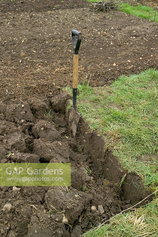 Winter digging - spade and dug ground