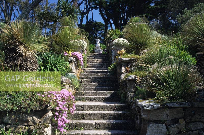 The Neptune Steps with architectural plants including succulants and Mesembryanthemums at Tresco Abbey gardens at Isles of Scilley. 