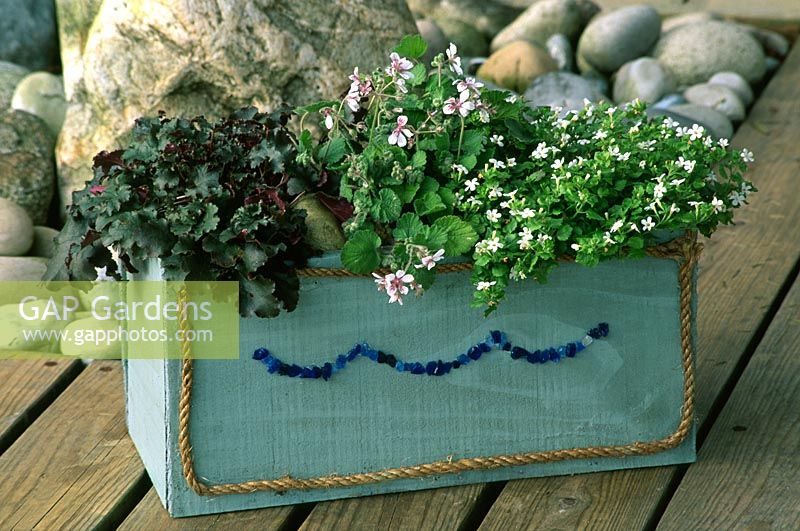 Summer container with a seaside theme. Painted wooden trough with Heuchera 'Chocolate Ruffles', Erodium pelargoniiflorum and Bacopa 'Snowflake'