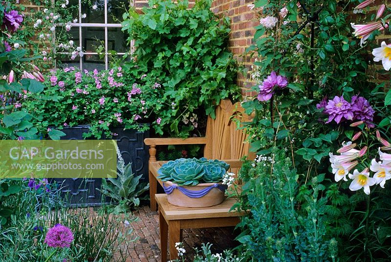 Wooden bench in courtyard garden with scented plants