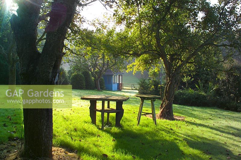 Wooden tables on lawn under trees at Highfield Hollies, Hampshire