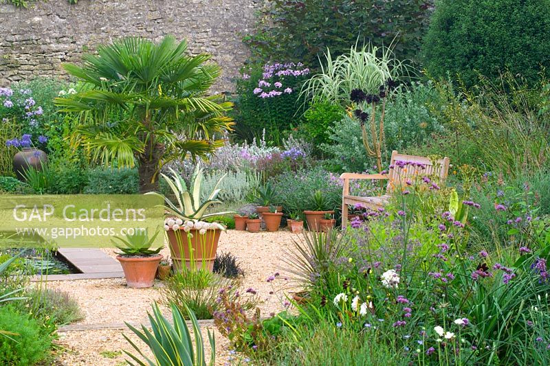 Dry garden with Trachycarpus fortunei and potted Agave at Meadow Nursery, Wells in Somerset  
