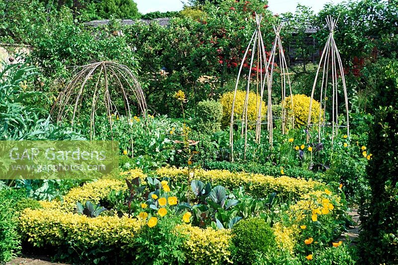 The Potager Vegetable garden at Barnsley House showing a selection of cane supports, Gloucestershire.