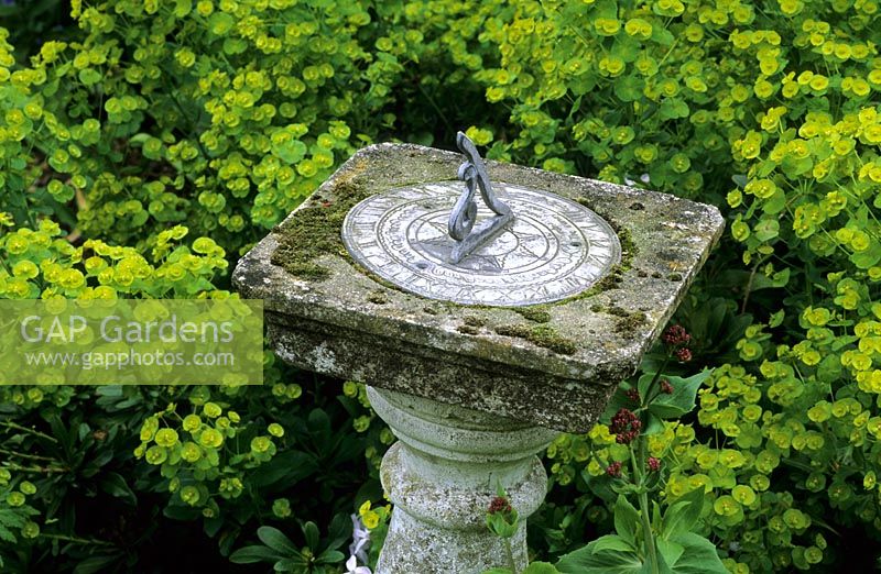 Sundial on stone pedestal among Euphorbia